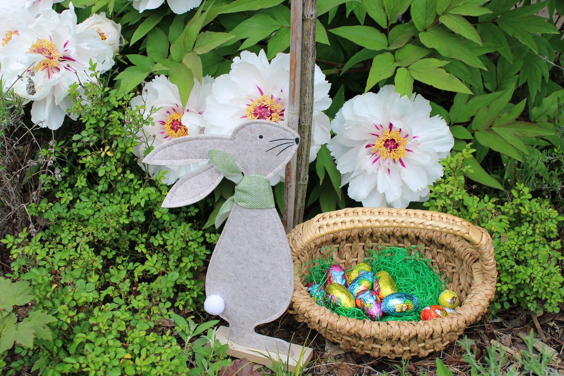 Auf die Plätze, fertig, los!